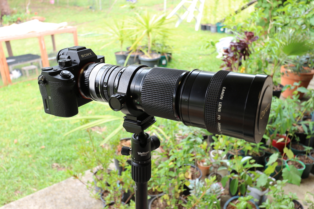 テレビで話題】 Canon キヤノン L f4 300mm FD NEW - レンズ(単焦点) - ucs.gob.ve